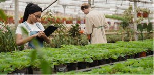 image of greenhouse farm