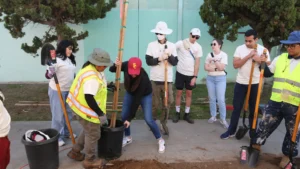 Tree Planting